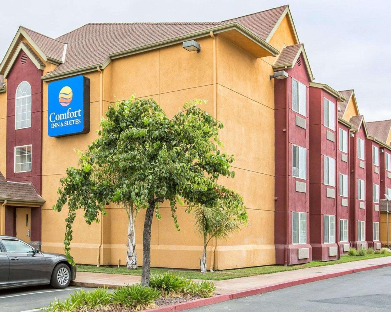 Comfort Inn & Suites Salinas Exteriér fotografie